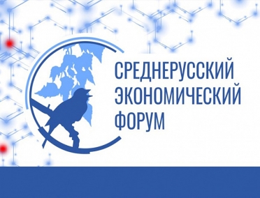 Среднерусский экономический форум 2019