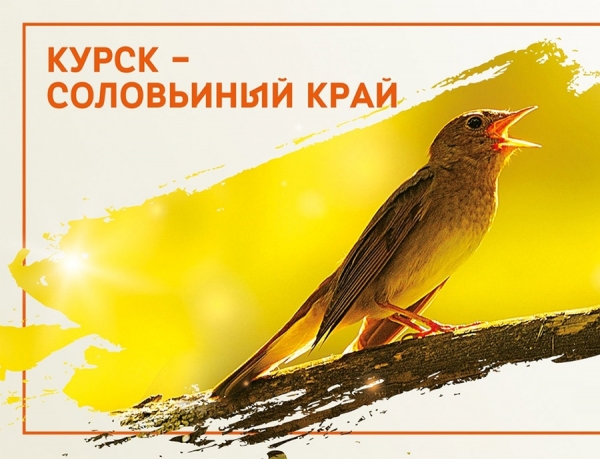 В Курском аэропорту гостей региона встречают красочные баннеры