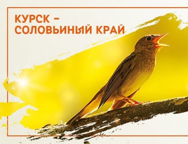 В Курском аэропорту гостей региона встречают красочные баннеры