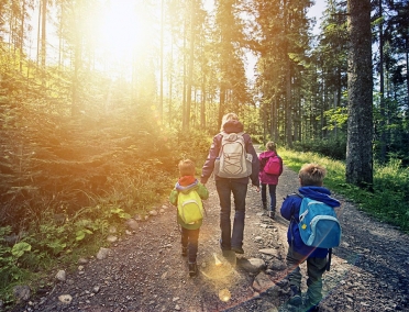 Межрегиональная конференция &laquo;Популяризация школьного туризма в России. Опыт Республики Карелия&raquo;
